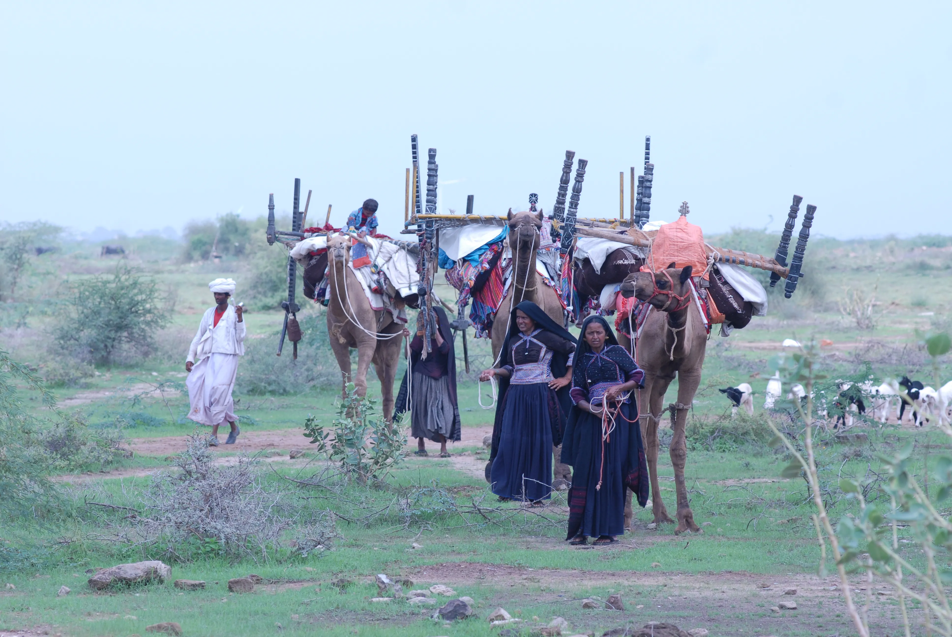 Kutch Desert and Architecture Ahmedabad Gujarat
